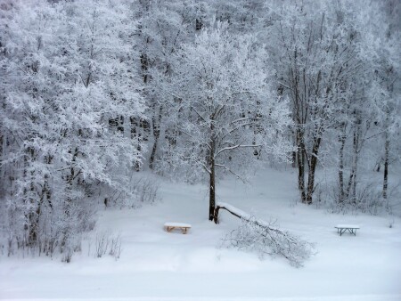 Мёртвый сезон