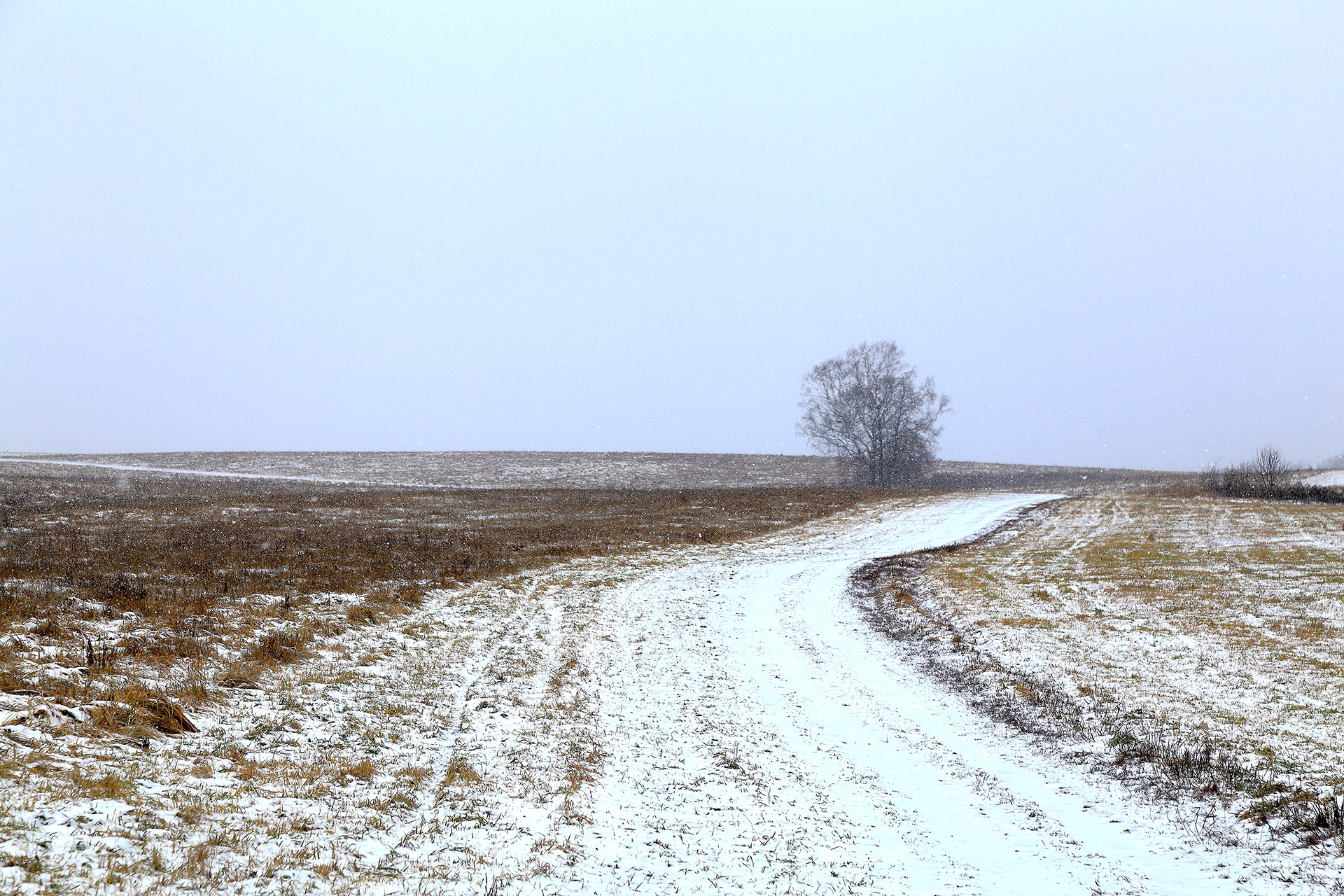 Первый снег