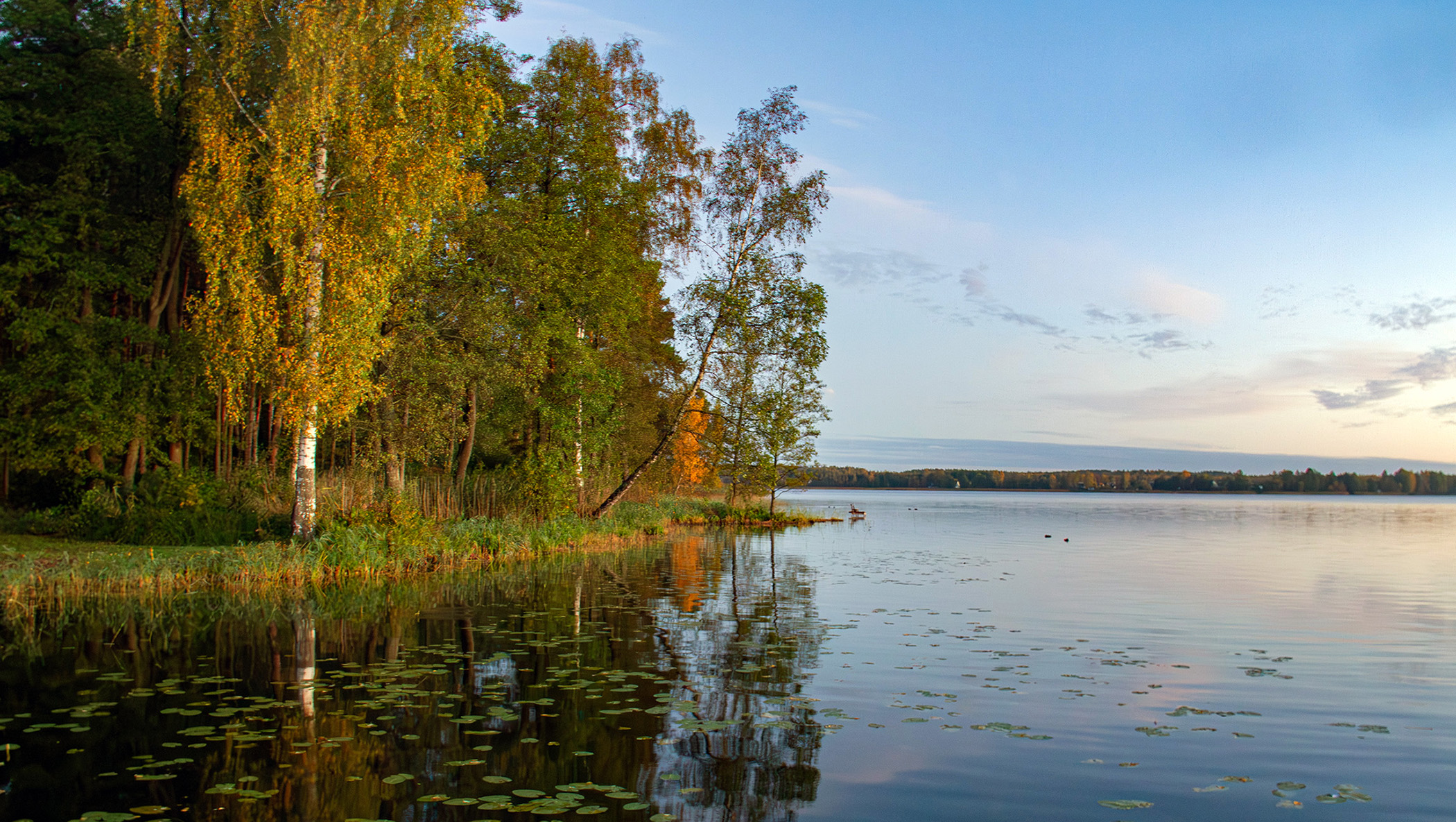 Осенняя пора...