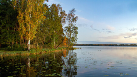 Осенняя пора...