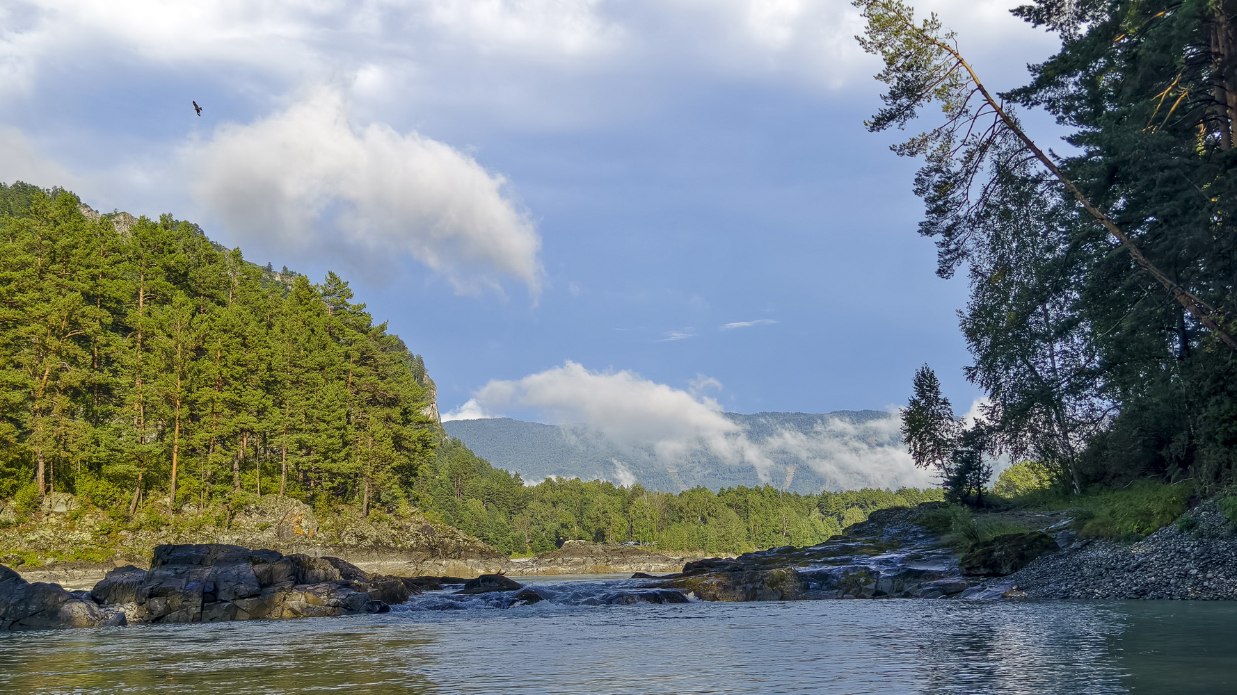 Катунь после дождя