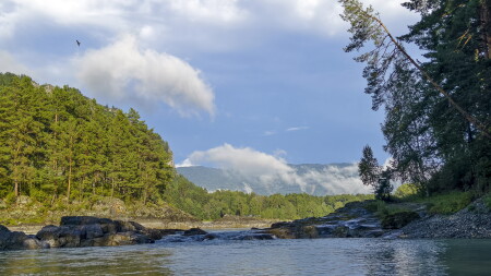 Катунь после дождя