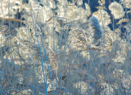 Лёгкий ветерок