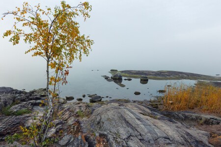 Осеннее утро на озере