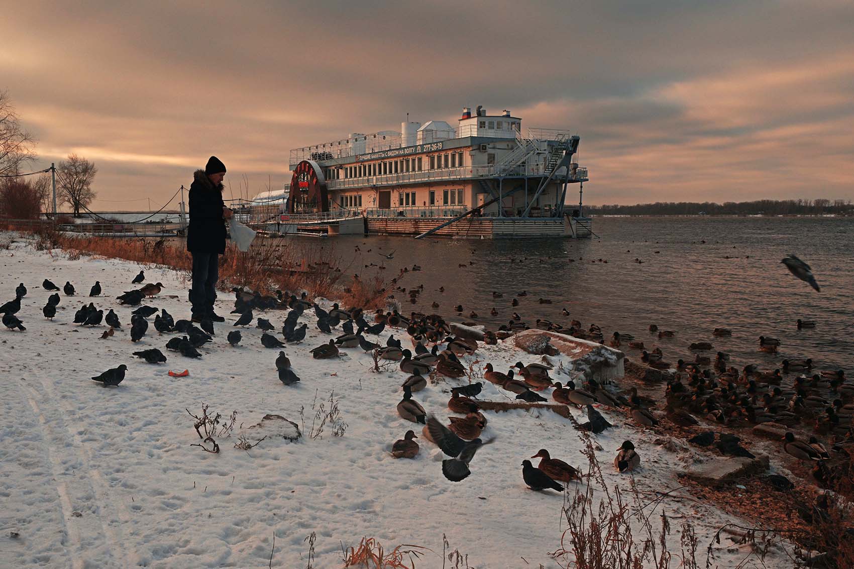 Кормление на закате...