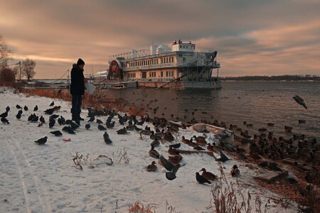 Кормление на закате...