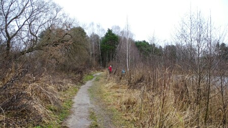 Природа Смоленщины 