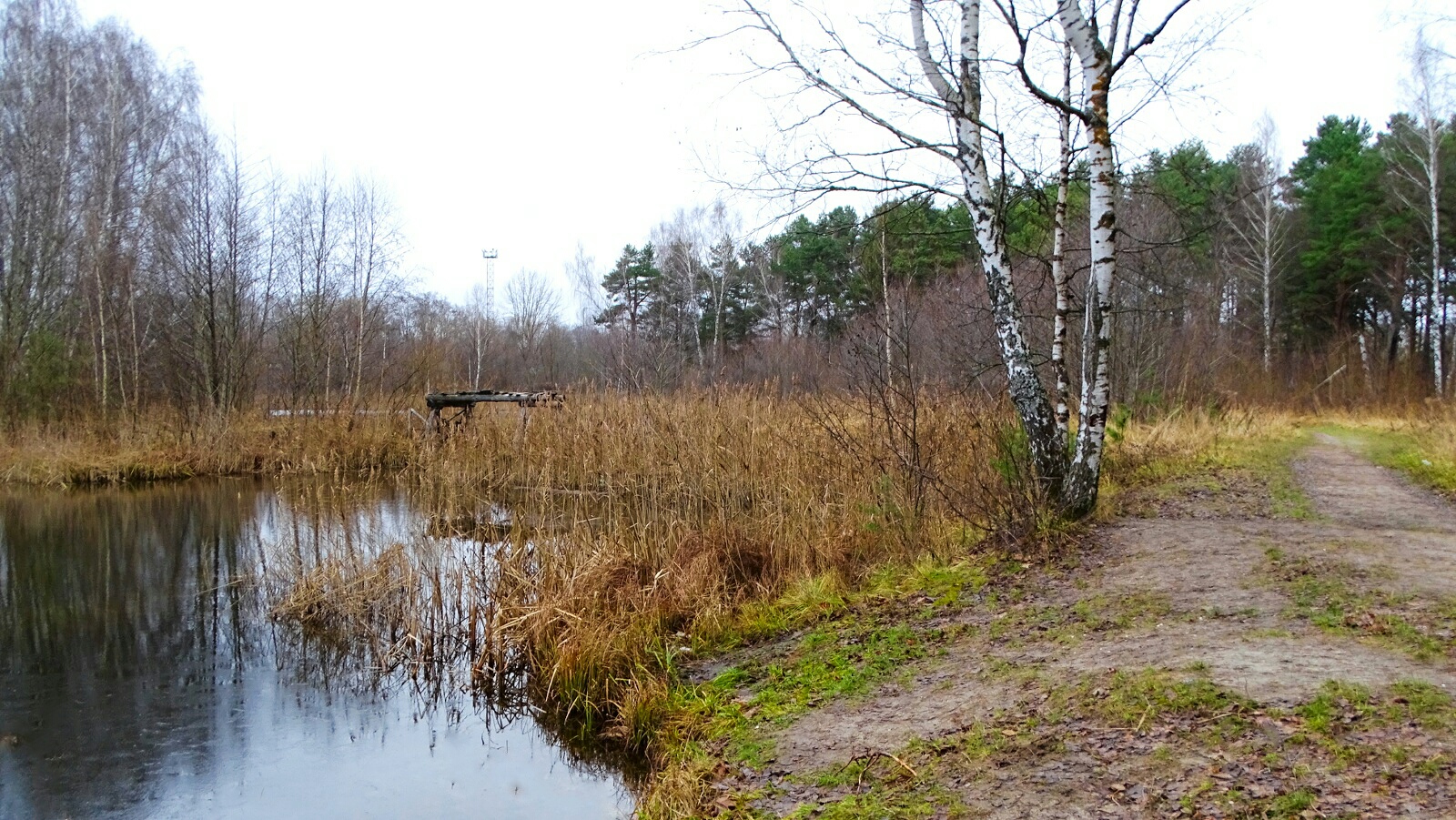 Природа Смоленщины 