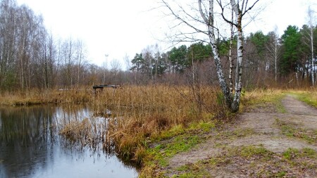 Природа Смоленщины 