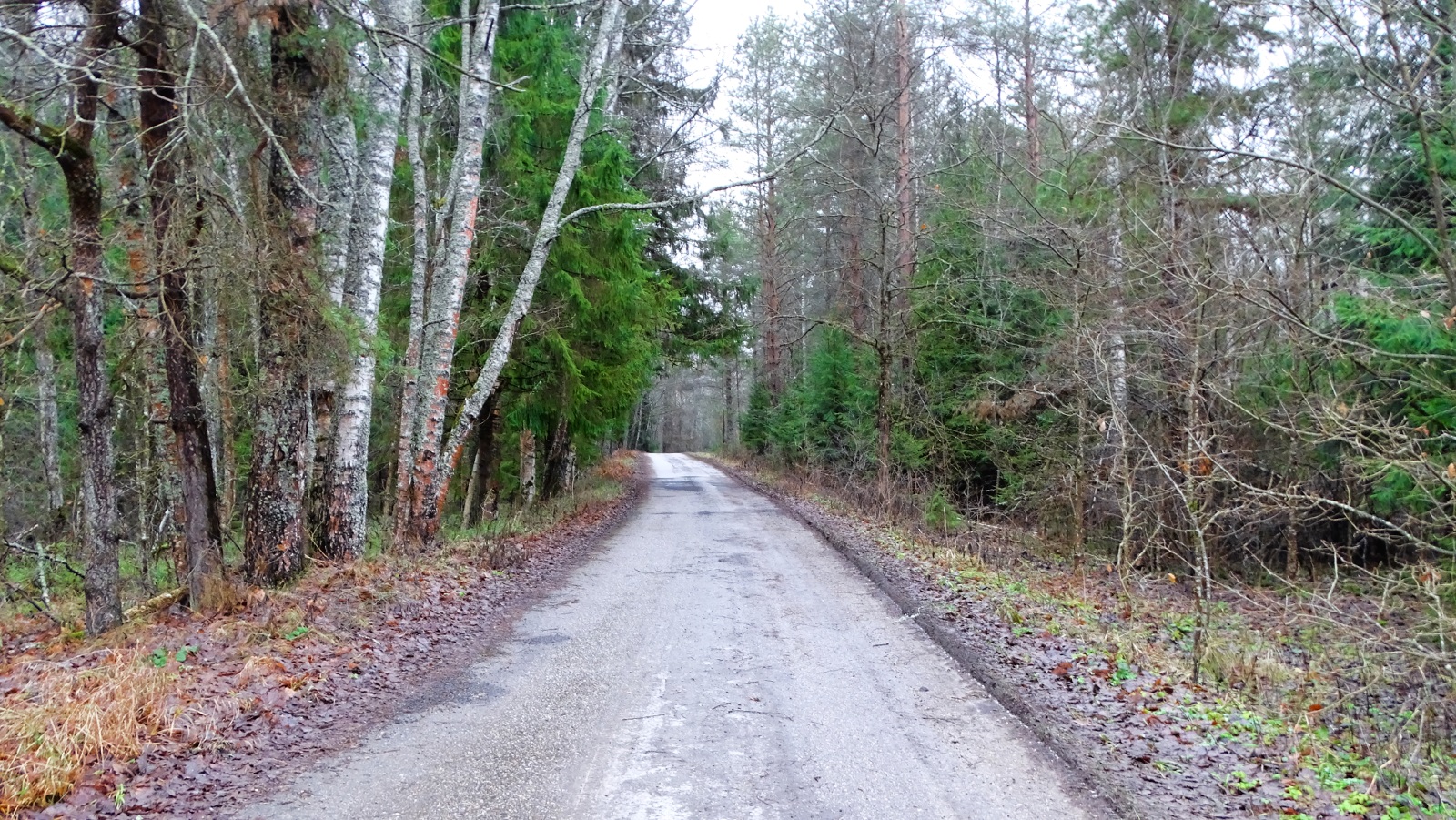 Природа Смоленщины 