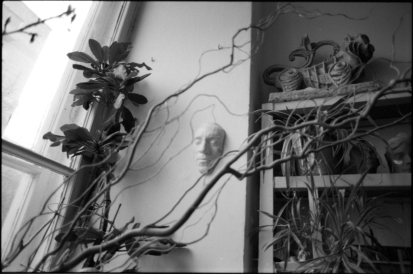 В мастерской Н. Лихогруд (2021)