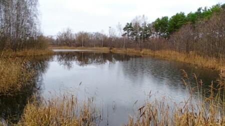 Природа Смоленщины 