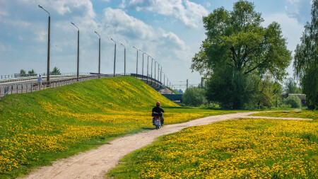 Майский ковёр