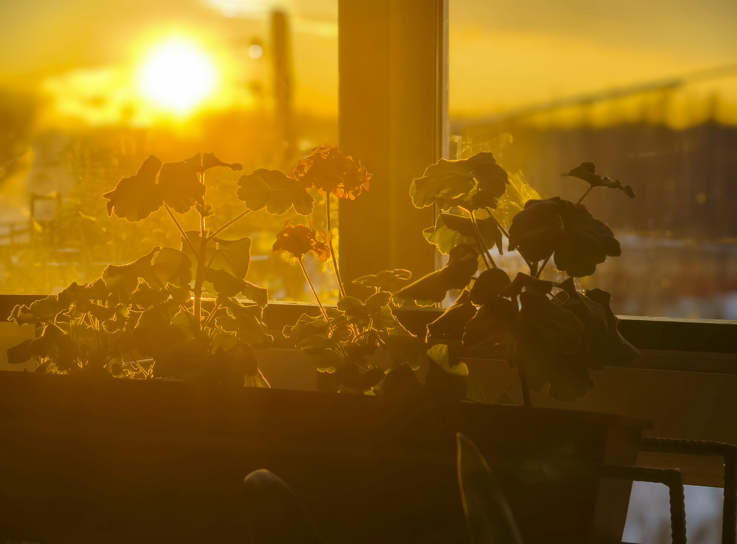 крепитесь, люди, скоро день на прибыль