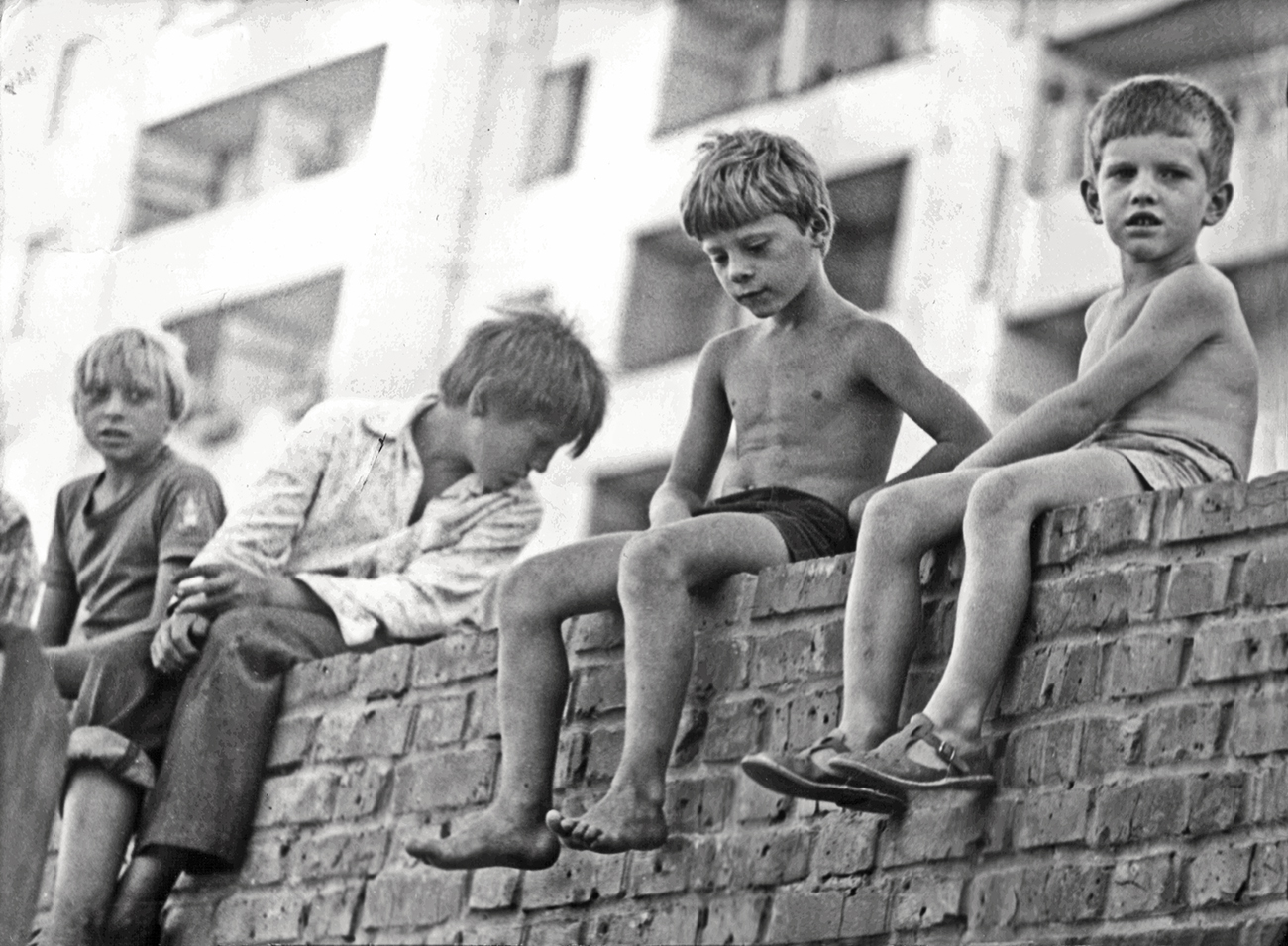 Сидят мальчишки на заборе