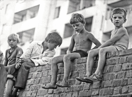 Сидят мальчишки на заборе