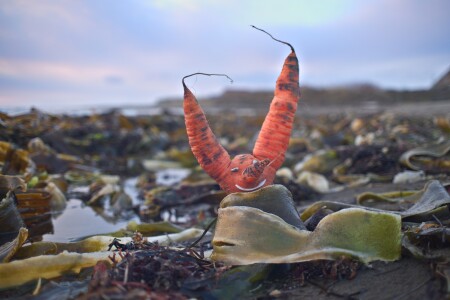 Привет с Сахалина с.Яблочное ,Сахалин 