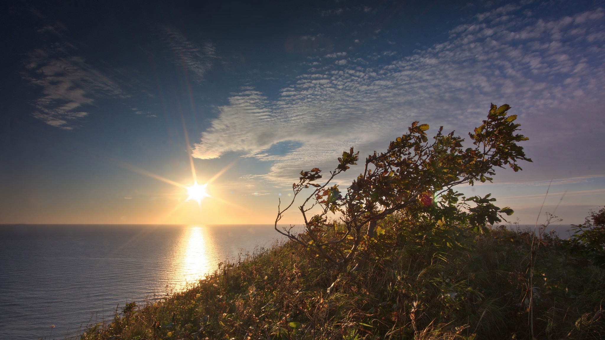 на сопках Сахалина с.Яблочное ,Сахалин 
