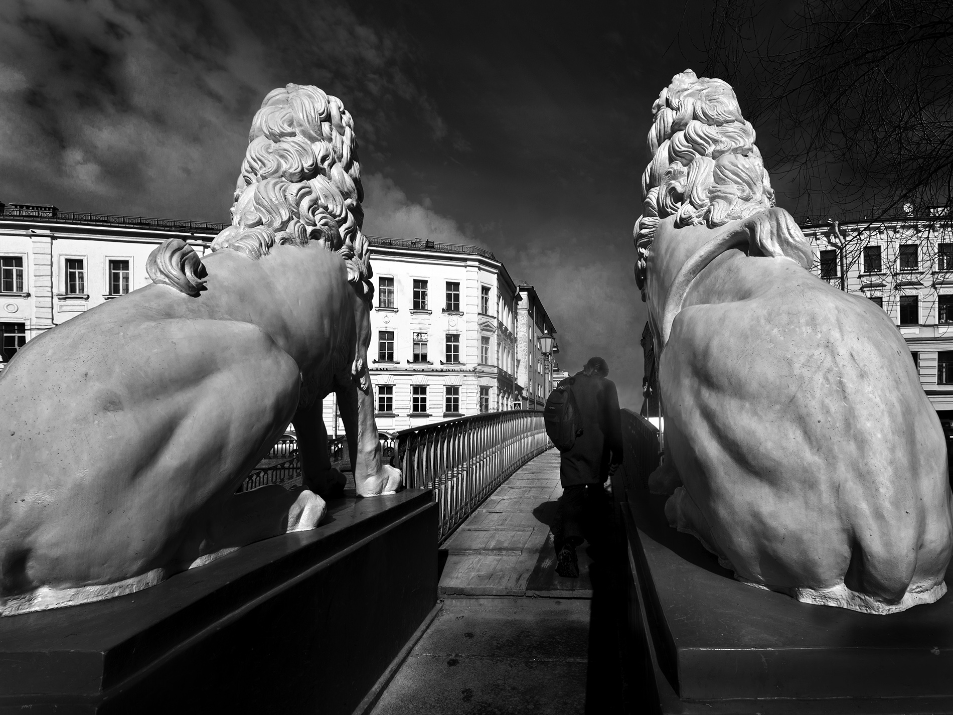 Львиный мост.Санкт-Петербург