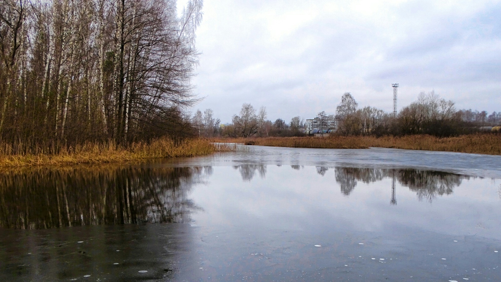 Природа Смоленщины 