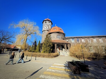 Светлогорск