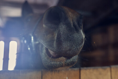 закурить есть?