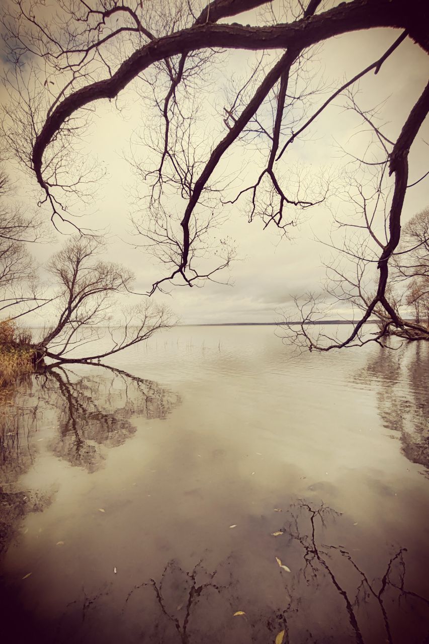 Плещеево. Переславль-Залесский