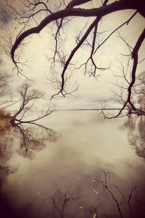 Плещеево. Переславль-Залесский