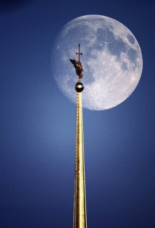 Символ Санкт-Петербурга