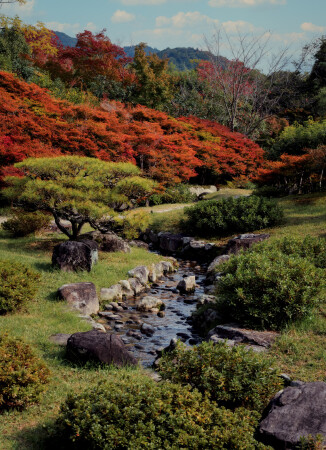 течение осени