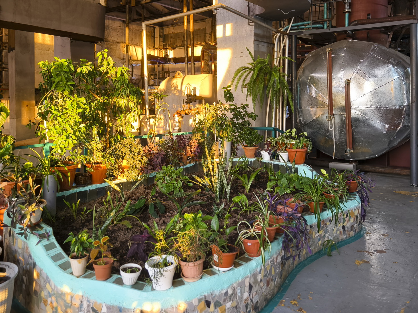 луч света в тёплом царстве