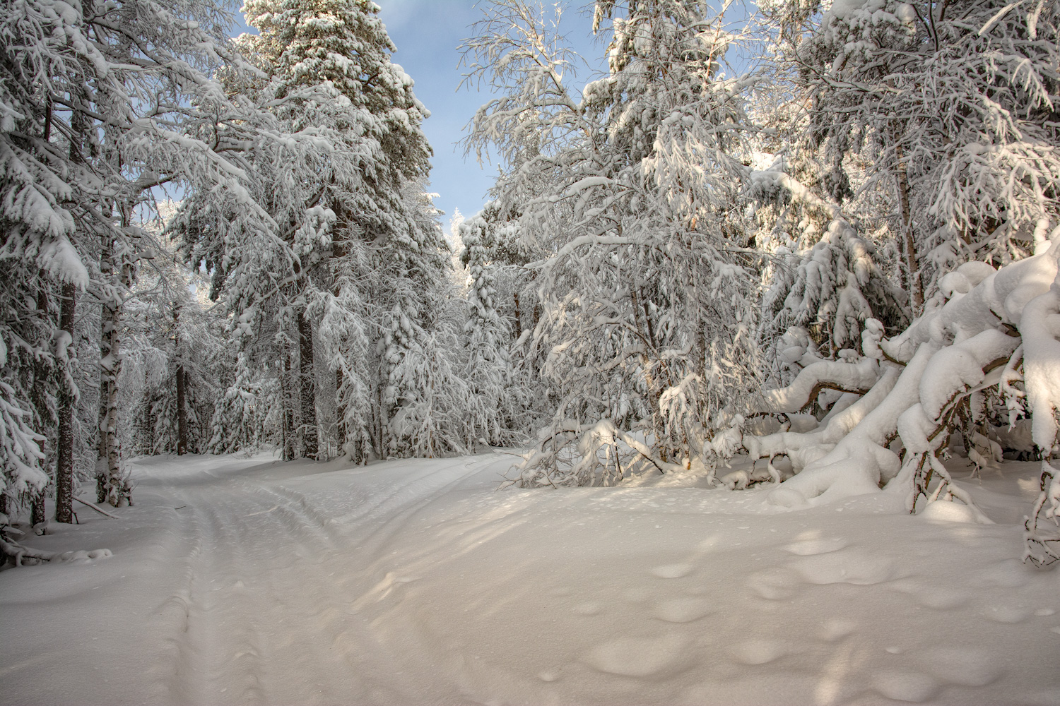 Белоснежная зима 