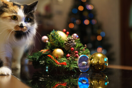 Мусечка готова к встрече Нового года