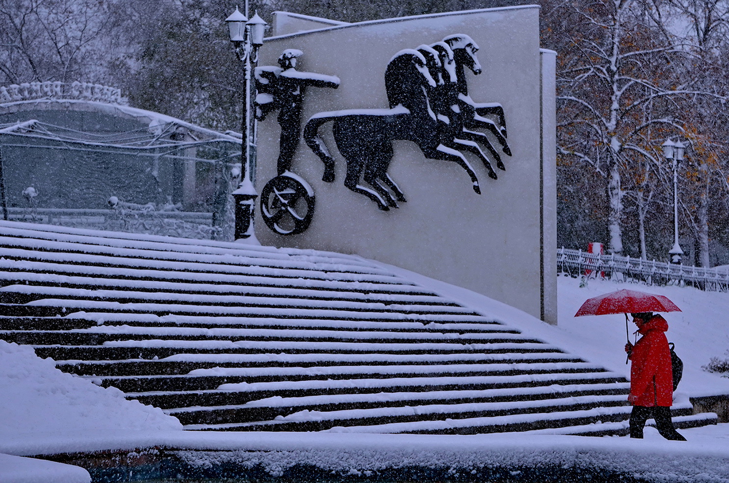 Cнежок пушистый.