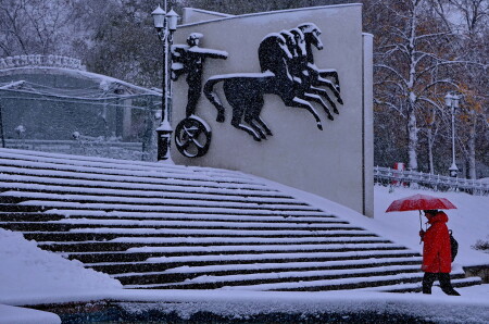 Cнежок пушистый.