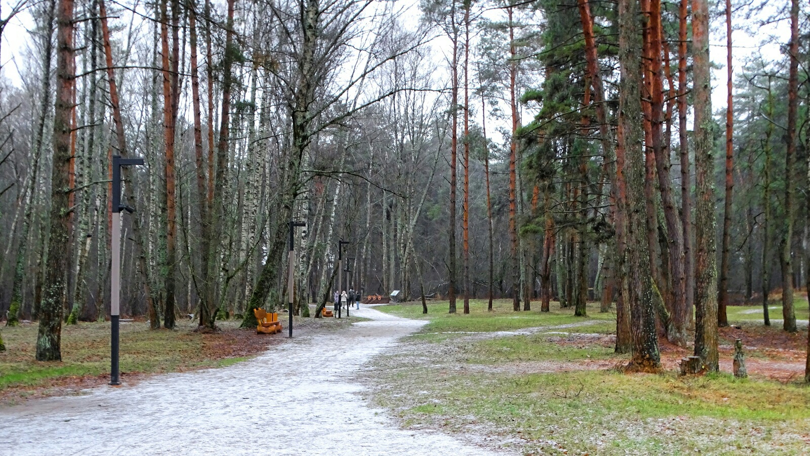 Природа Смоленщины. За 10 дней до Нового года.