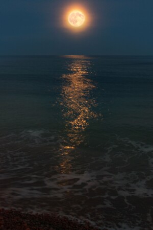 Полнолуние 