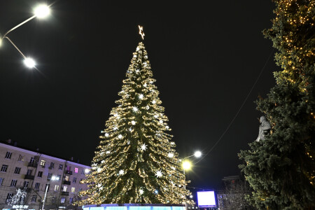 к празднику