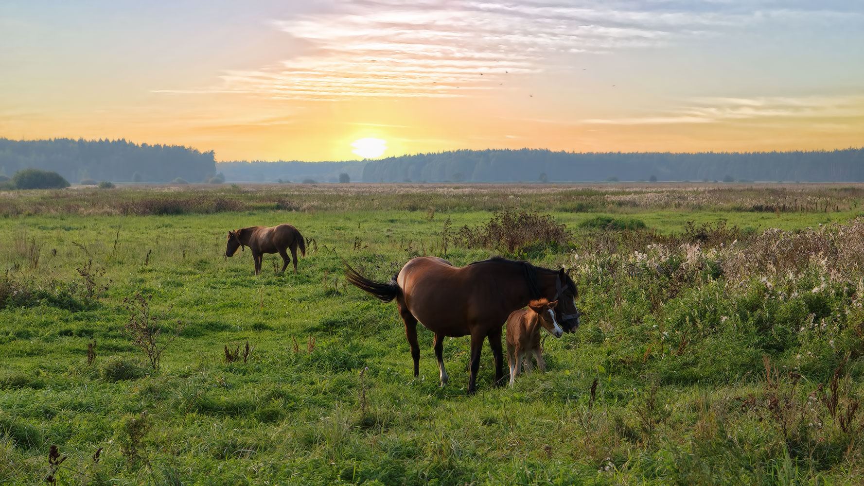 Сентябрь, тепло