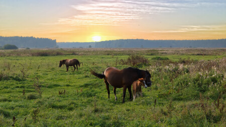 Сентябрь, тепло