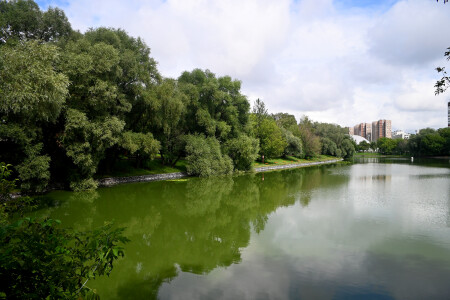 Пруд в городском парке