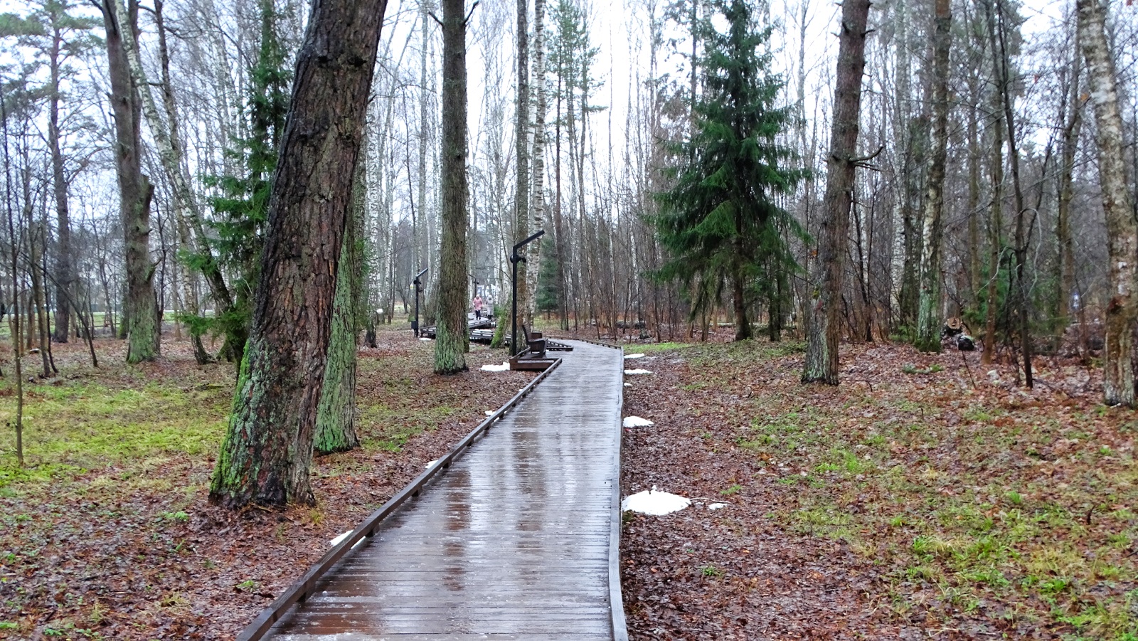 Природа Смоленщины 