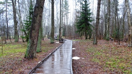 Природа Смоленщины 