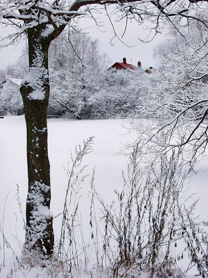 Немного о зиме