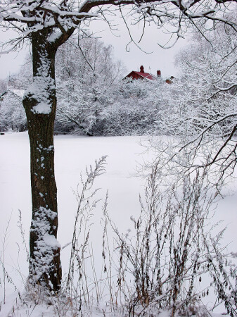 Немного о зиме