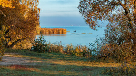 Октябрь, цветастый