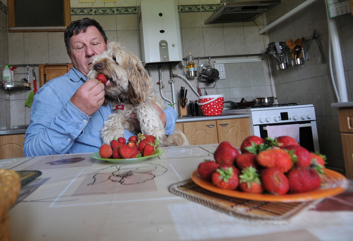 Папка добрый... ))