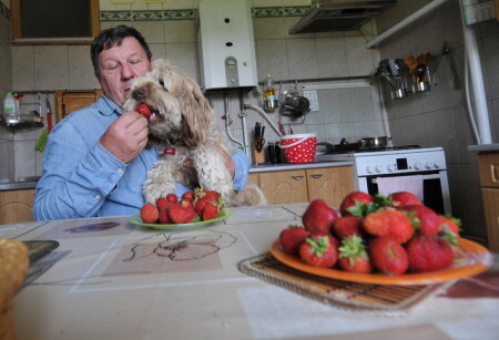 Папка добрый... ))