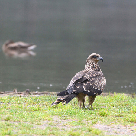 Санитара вызывали?