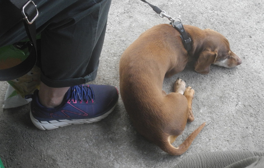 Без названия.